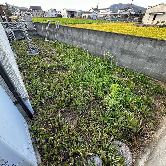 画像255