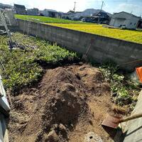 画像256