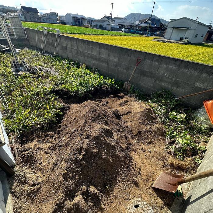 画像256