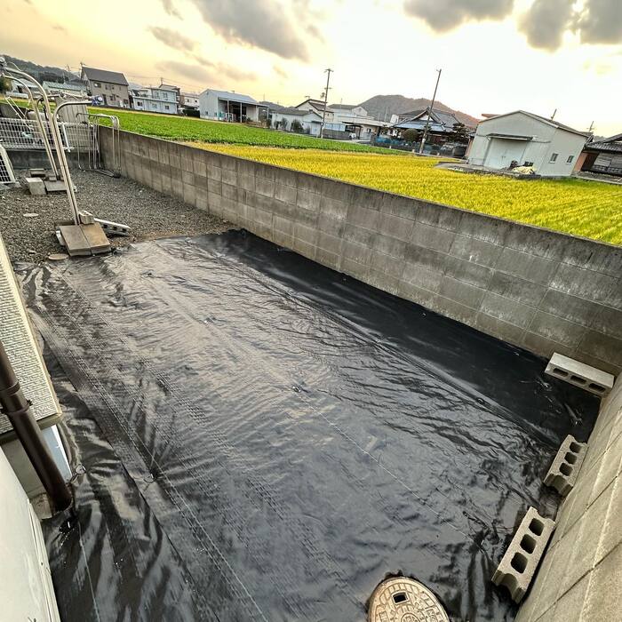 画像259