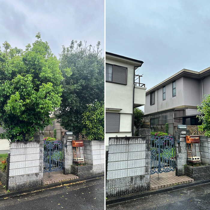 画像289